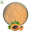 Papaya Powder/Papaya Seed Powder/Green Papaya Powder